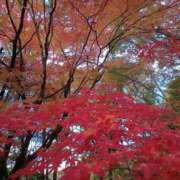 ヒメ日記 2025/11/16 17:53 投稿 美雪 府中ダービー