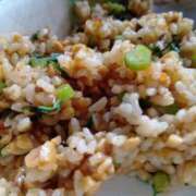 ヒメ日記 2025/12/30 13:23 投稿 美雪 府中ダービー