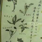 ヒメ日記 2026/01/07 19:53 投稿 美雪 府中ダービー