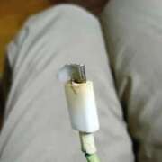 ヒメ日記 2026/04/10 20:18 投稿 美雪 府中ダービー