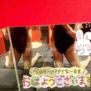 ヒメ日記 2025/12/08 09:33 投稿 レゼ バニーコレクション秋田店