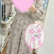 ヒメ日記 2025/11/19 12:47 投稿 ひなの 丸妻 厚木店