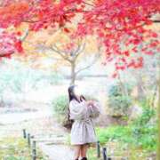 ヒメ日記 2025/12/14 19:25 投稿 三好なのか★ elumo(エルモ)