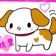 ヒメ日記 2026/02/03 19:14 投稿 秋里 熟女の風俗最終章 横浜本店