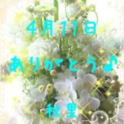 ヒメ日記 2026/04/11 19:04 投稿 秋里 熟女の風俗最終章 横浜本店