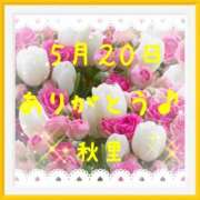 ヒメ日記 2026/05/20 20:45 投稿 秋里 熟女の風俗最終章 横浜本店