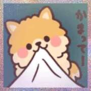 ヒメ日記 2026/09/13 15:04 投稿 秋里 熟女の風俗最終章 横浜本店