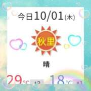 ヒメ日記 2026/10/01 15:14 投稿 秋里 熟女の風俗最終章 横浜本店