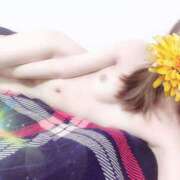 ヒメ日記 2026/04/12 01:41 投稿 LOVE☆超絶美女☆電撃入店☆ 京都Jewel