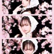ヒメ日記 2026/05/16 21:08 投稿 LOVE☆超絶美女☆電撃入店☆ 京都Jewel