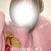 ヒメ日記 2025/11/19 23:22 投稿 桜坂 しずく［L］ モンテクラブ