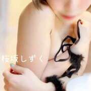 ヒメ日記 2025/11/25 15:42 投稿 桜坂 しずく［L］ モンテクラブ