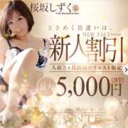 ヒメ日記 2025/12/29 23:52 投稿 桜坂 しずく［L］ モンテクラブ