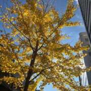 ヒメ日記 2025/12/10 07:07 投稿 あすか Lounge Yoki東京