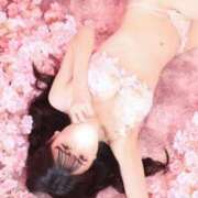 ヒメ日記 2026/04/27 09:34 投稿 あすか Lounge Yoki東京