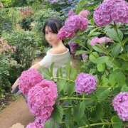 ヒメ日記 2026/07/04 07:07 投稿 あすか Lounge Yoki東京