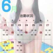 ヒメ日記 2026/06/13 09:47 投稿 ゆの先生 渋谷   大人の幼稚園