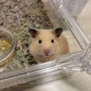 ヒメ日記 2026/03/05 15:09 投稿 かれん ドマーニ