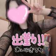 ヒメ日記 2026/03/28 10:43 投稿 かれん ドマーニ