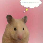 ヒメ日記 2025/12/16 15:58 投稿 しおん ぽっちゃり巨乳素人専門店ぷにめろ西船橋店