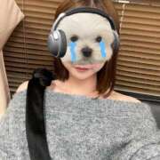 ヒメ日記 2025/11/22 22:31 投稿 めぐ メルビス＆アトリアーナ