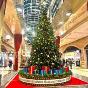 ヒメ日記 2025/11/24 17:15 投稿 めぐ メルビス＆アトリアーナ