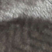 ヒメ日記 2025/11/21 05:00 投稿 みゆ ドリーム水戸