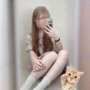 ヒメ日記 2025/11/24 14:24 投稿 のどか コンカフェ×オナクラ あいこねくと