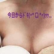 ヒメ日記 2025/11/13 07:20 投稿 ともか マダム錦糸町