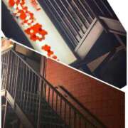 ヒメ日記 2025/11/17 17:20 投稿 ともか マダム錦糸町