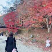 ヒメ日記 2025/11/16 18:12 投稿 もな 東京リップ 池袋店