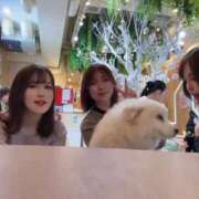 ヒメ日記 2026/03/23 18:17 投稿 もな 東京リップ 池袋店