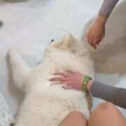 ヒメ日記 2026/04/02 18:17 投稿 もな 東京リップ 池袋店