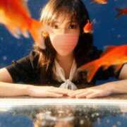 ヒメ日記 2026/02/06 20:00 投稿 ともか マダム西船橋