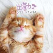 双葉ゆうり 来てね🐈🤍 キュア＆マジック