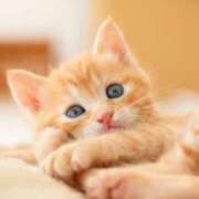 双葉ゆうり ありがとうございました🤍 キュア＆マジック