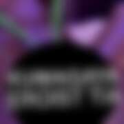 ヒメ日記 2026/02/03 20:20 投稿 てぃあ EROIST-エロイスト-