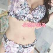 ヒメ日記 2025/11/24 19:31 投稿 小宮　かおる 川崎南町人妻高級ソープ エル・カーヒル(ELCURHIL)秘密の刻