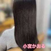 ヒメ日記 2025/11/27 20:30 投稿 小宮　かおる 川崎南町人妻高級ソープ エル・カーヒル(ELCURHIL)秘密の刻