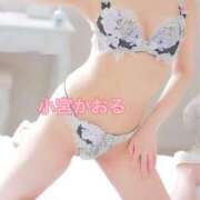 ヒメ日記 2025/12/02 12:50 投稿 小宮　かおる 川崎南町人妻高級ソープ エル・カーヒル(ELCURHIL)秘密の刻