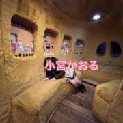 ヒメ日記 2025/12/27 11:15 投稿 小宮　かおる 川崎南町人妻高級ソープ エル・カーヒル(ELCURHIL)秘密の刻