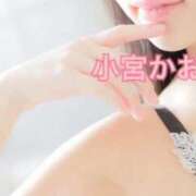 ヒメ日記 2026/01/19 14:59 投稿 小宮　かおる 川崎南町人妻高級ソープ エル・カーヒル(ELCURHIL)秘密の刻