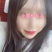 ヒメ日記 2026/02/01 09:01 投稿 小宮　かおる 川崎南町人妻高級ソープ エル・カーヒル(ELCURHIL)秘密の刻