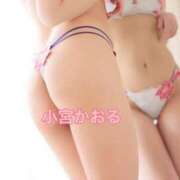 ヒメ日記 2026/03/05 09:24 投稿 小宮　かおる 川崎南町人妻高級ソープ エル・カーヒル(ELCURHIL)秘密の刻