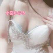 ヒメ日記 2026/06/15 12:01 投稿 小宮　かおる 川崎南町人妻高級ソープ エル・カーヒル(ELCURHIL)秘密の刻