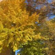 ヒメ日記 2025/11/14 14:22 投稿 はのん 電マナイザー イラマチオン