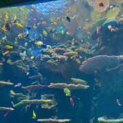 ヒメ日記 2026/01/30 15:25 投稿 もえ ギン妻パラダイス 和歌山店