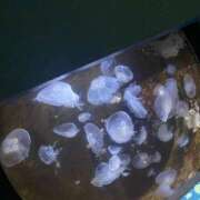 ヒメ日記 2026/02/28 15:06 投稿 もえ ギン妻パラダイス 和歌山店