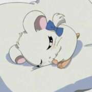 ヒメ日記 2026/03/27 12:39 投稿 もえ ギン妻パラダイス 和歌山店