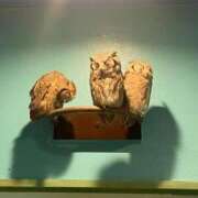 もえ 女の子の日🐈‍⬛🩸 ギン妻パラダイス 和歌山店